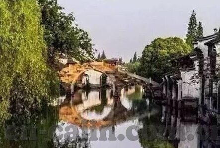 mk中国官网入口-MK官方网站的独特访问体验